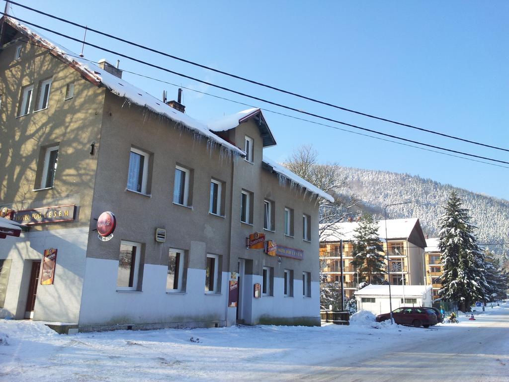 Guest House Pod Lesem Merklin Экстерьер фото